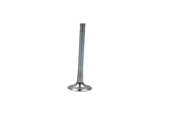 Soupape d’échappement Pour VW Audi Seat Skoda 06D109611L B19008 Borsehung