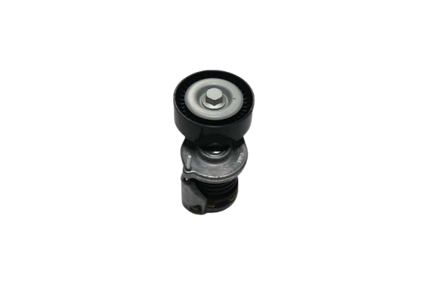 Galet Tendeur De Courroie Pour VW Audi Seat Skoda 038903315AH 19030359401 Vika