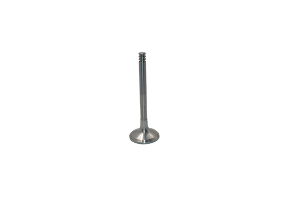 Soupape d’échappement Pour VW Seat Skoda 028109611K B19000 Borsehung