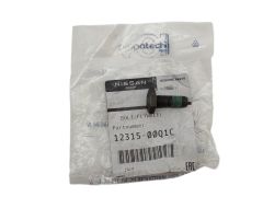 Vis Original 1231500Q1C 123156846R Renault Nissan