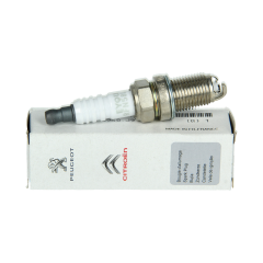 Bougie D’allumage Original à Citroen Peugeot C2 206 C3 207 RFN58LZ3A 5960J9