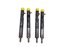 Injection De Combustible Complet 166000897R H8200827965 1.5 dci Delphi Renault