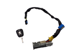 Commutateur D’allumage Peugeot 206 N0501539 4162Z1 Valeo 1082