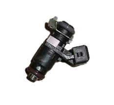 Injection De Combustible Original Dacia Duster Logan 2.0  166009398R