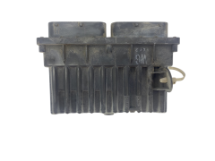 Calculateur Opel 24462342 15408374 GM Delphi 49354 Calculateur Opel 24462342 15408374 GM Delphi 49354