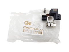 Collier de serrage Renault Clio 4 Captur 250825784R