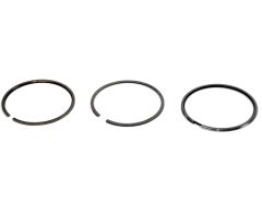 ren7701470248 ren7701470248