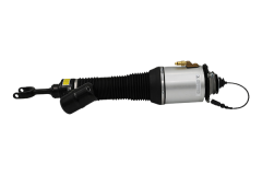 Amortisseur Avant Gauche Pour VW Phaeton 3D0616039AB 56160000201 Vika