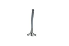 Soupape d’échappement Pour VW Audi Seat Skoda 06D109611L B19008 Borsehung