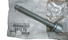 Vis 10X150-80 Nouvelle Original 6913.T5 6913T5 Citroen Peugeot Vis 10X150-80 Nouvelle Original 6913.T5 6913T5 Citroen Peugeot