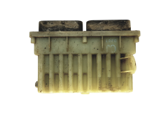 Calculateur 24410130 15396912 Opel  GM Delphi 21928
