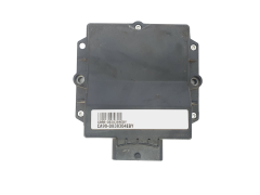 Calculateur LPG 67R011002 110R001001 10R031131 FLY SF 38304 Calculateur LPG 67R011002 110R001001 10R031131 FLY SF 38304