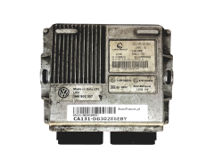 Calculateur LPG 110R-006011 67R-016002 616619000