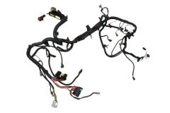 Faisceau De Câblage Pour Moteur 6000073672 B 2,0 F4R730 Renault Clio 2 Sport Faisceau De Câblage Pour Moteur 6000073672 B 2,0 F4R730 Renault Clio 2 Sport