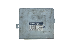 Calculateur 39110-02743 S02808263 CE6E Hyundai 55611