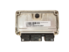 Calculateur 0261207318 9648483480 9643897580 PSA Bosch 30791