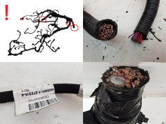 Faisceau De Câblage Pour Moteur 240114275S 2.3 dCi Renault Master 3 M9T726 Faisceau De Câblage Pour Moteur 240114275S 2.3 dCi Renault Master 3 M9T726