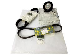 ren7701477525 ren7701477525