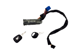 Commutateur D’allumage Peugeot 206+ N0501539 4162Z1 Valeo
