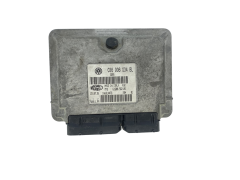 Calculateur 036906034BL IAW4LV.AA 61600.562.05 Skoda 60180