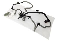 ren8200274089 ren8200274089