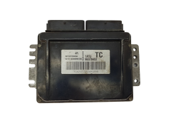 Calculateur 96376652 S010016040A9 1AYJ Chevrolet Daewoo Kemsco 14550