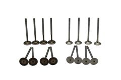 Valves Pour VW Audi Seat Skoda 03C109601M 03C109611R B18138 Borsehung