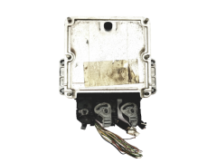 Calculateur 0281011081 9646850580 9647472780 PSA Bosch 17098