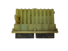 Calculateur 24410130 ID804027 Opel GM Delphi 15839