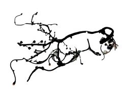 bpad19-jj1281eby bpad19-jj1281eby