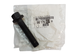 Vis Nouvelle Original Citroen Peugeot 9817665180