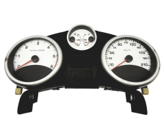 Bloc Compteurs Vitesse Peugeot 207 9666133180 A2C53337660 30673