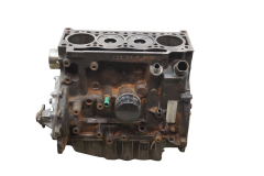 Bloc Moteu,Bloc Cylindres F9QA734 F9Q734 1.9 DTI Renault Scenic