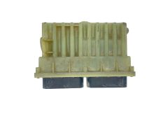 Calculateur Opel 24456733 15427111 Delphi GM 55318