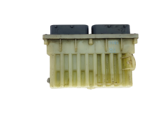 Calculateur Opel 24456733 15427111 Delphi GM 39696