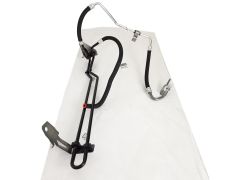 ren497218023r ren497218023r