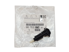 Buse  Pullvérisateur Original Citroen C4 Picasso 9676307480