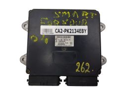 ca2-pk2134eby ca2-pk2134eby