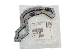 Kit De Chaîne De Distribution Nouvelle Original Citroen Peugeot 2.7 HDi 0816G9