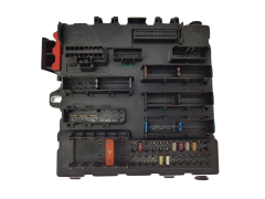 Module 13112910 460023260 Opel GM