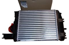 Refroidisseur Turbo Nouvelle Original 144967634R Renault Dacia