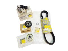 ren7701477582 ren7701477582