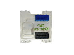 Calculateur 12669104 12660743 401287396 Opel GM 