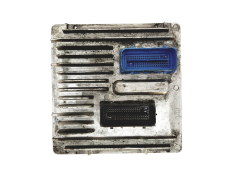 Calculateur Opel 12674281 695085118 12663006 GM