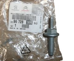 Vis Nouvelle Original 9672830980 Citroen C3 3 DS3
