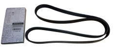 Courroie D’alternateur Original 7PK 117208314R Renault