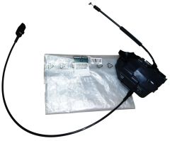 ren8200384981 ren8200384981