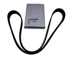 Courroie d'entraînement Original Renault 117202122R