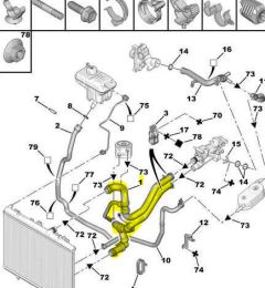 Tuyau De Radiateur Original Citroen Peugeot 406 1343KR Tuyau De Radiateur Original Citroen Peugeot 406 1343KR