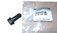 Vis Original 151888146R Renault Dacia
